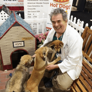 A Labor of Love: TCNA’s Tiled Doghouses Return to Coverings in 2019