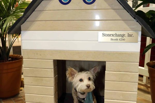 COV17-doghouse-StoneExchange